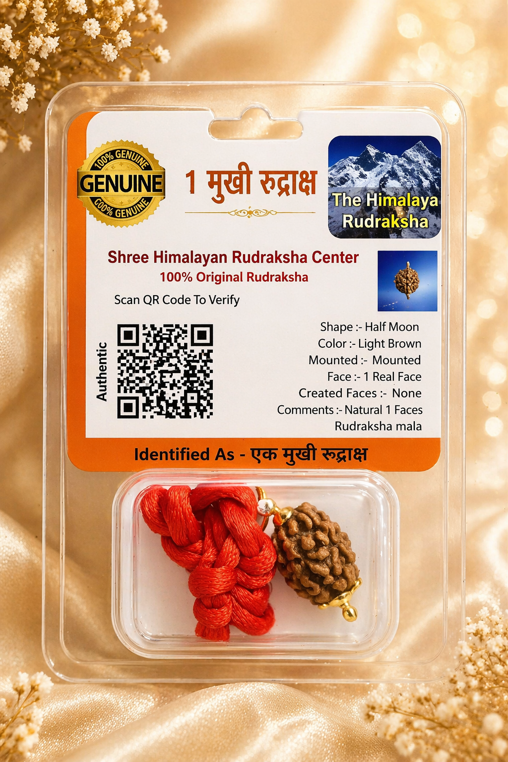 3 Mukhi Certified Rudraksha (Original & Lab Verified) | Three Face Rudraksha for Confidence & Positivity
