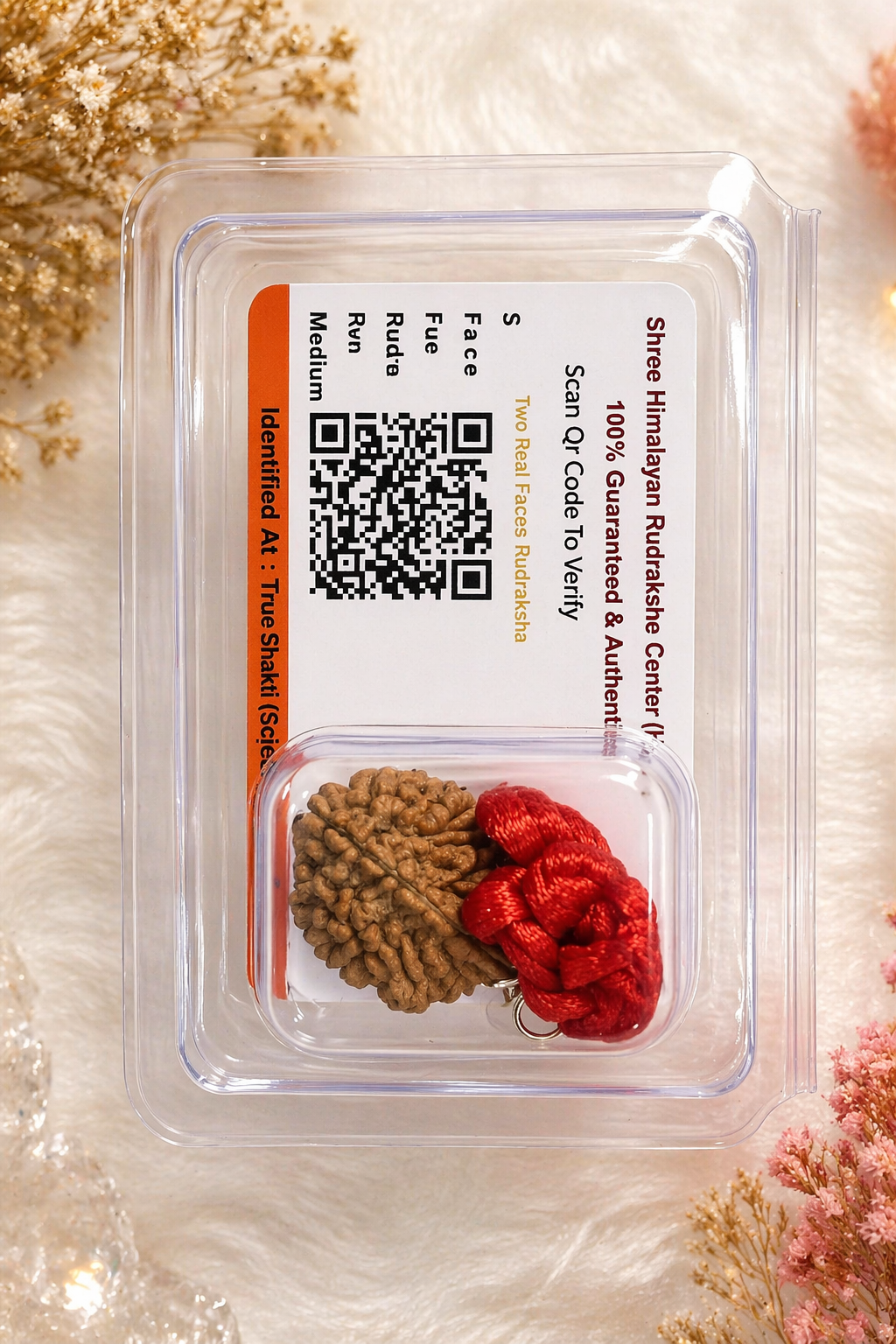 2 Mukhi Certified Rudraksha (Authentic & Lab Verified) | Original Two Face Rudraksha for Harmony & Relationships