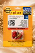 1 Mukhi Certified Rudraksha (Original & Lab Verified) | Ek Mukhi Rudraksha for Wealth, Power & Spiritual Growth