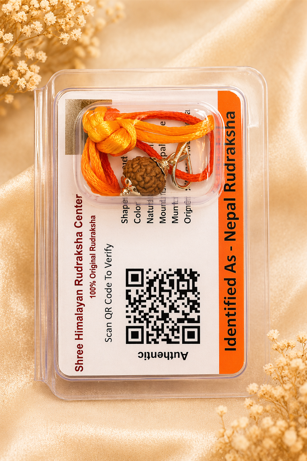 9 Mukhi Indonesian Rudraksha (Certified & Original) | Nine Face Rudraksha for Power, Protection & Confidence