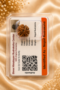 9 Mukhi Nepali Rudraksha (Certified Original) | Nine Face Rudraksha for Power, Protection & Success