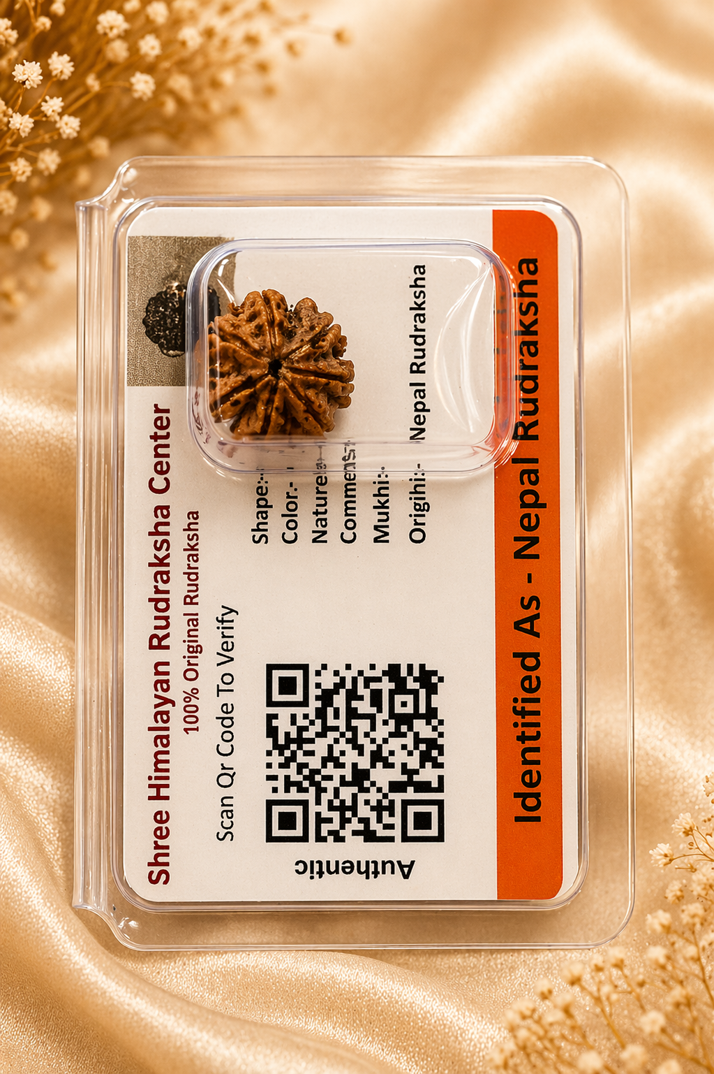 9 Mukhi Nepali Rudraksha (Certified Original) | Nine Face Rudraksha for Power, Protection & Success