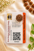 10 Mukhi Nepali Rudraksha (Certified) – Original 10 Face Rudraksha Bead with Lab Verification