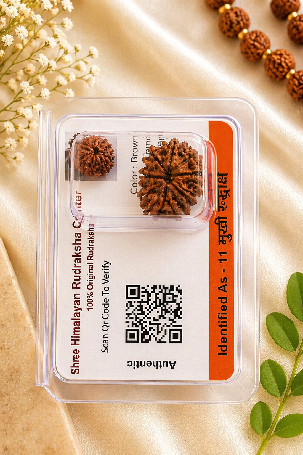 11 Mukhi Nepali Rudraksha (Certified) – Original 11 Face Rudraksha Bead with Authenticity QR Code