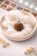 Original 4 Mukhi Rudraksha Pendant with Silver Cap | Natural Four Face Rudraksha for Intelligence & Communication