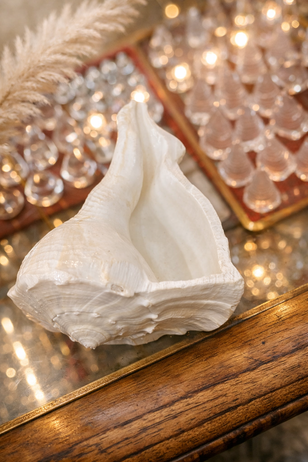 Right Hand Shankh (Dakshinavarti Shankh) – Sacred Prosperity Conch
