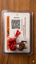 Original 6 Mukhi Nepali Rudraksha Bead with Silver Capping & Lab Certificate