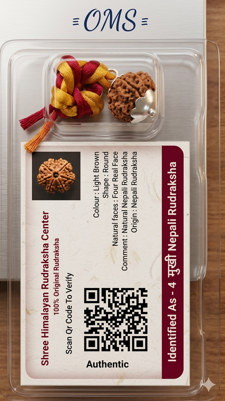 Original 4 Mukhi Nepali Rudraksha Bead with Lab Certification