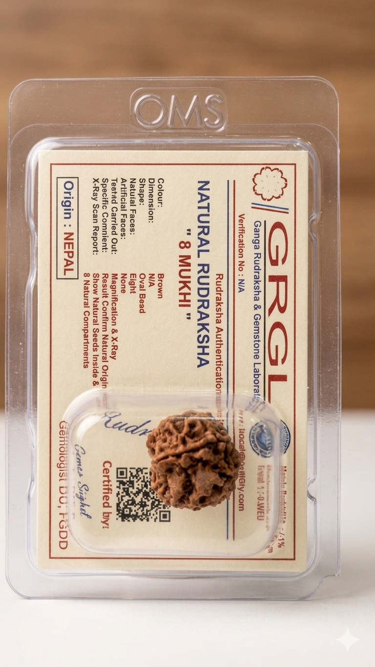 Certified Original 8 Mukhi Nepali Rudraksha - GRGL Lab Authenticated