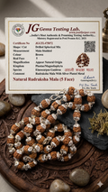 Premium Silver Capped Rudraksha Mala – Lab-Certified 108+1 Natural Beads with Elegant Silver-Tone Artisan Finish