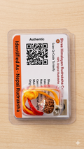 Certified Original 8 Mukhi Indonesian Rudraksha Bead with Silver Capping