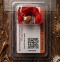 Keaslian 13 Mukhi Rudraksha yang Dilengkapi Sertifikat dan QR Code Otentikasi